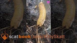 ScatKings.com Scat Porn